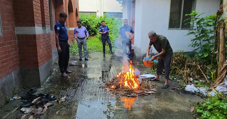 ধ্বংস করা হচ্ছে গাঁজা